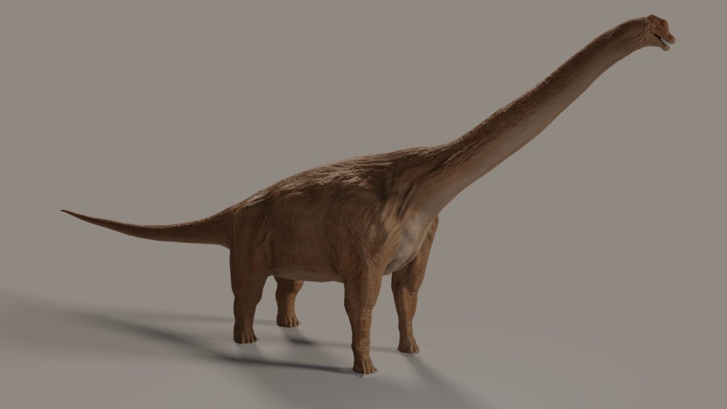 Brachiosaurus-Cycles preview image 1